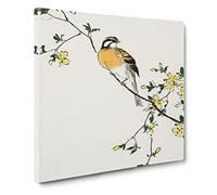 Meadow Bunting Bird & Yellow Flowers by Numata Kashu Asian Japanese Canvas Wall Art Print Ready to Hang, Framed Picture for Living Room Bedroom Home Office Décor, 14x14 Inch (35x35 cm)
