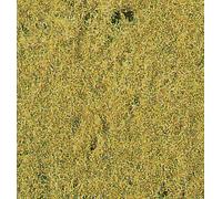 Meadow Grass Light Green 28 x 14cm 2-3mm
