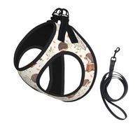 Meadow Hedgehog,Pet Harness,Adjustable Reflective Dog Harness,Pet Leash Vest,M