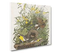 Meadow Larks Bird by John James Audubon Canvas Print | Gallery Wrapped 30mm Frame Wall Art | 20x20 inches | Ready to Hang | Retro Animals Picture | Living Room Bedroom Lounge Office