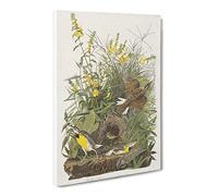 Meadow Larks By John James Audubon Canvas Print | Gallery Wrapped 30mm Frame Wall Art | 24x16 inches | Ready to Hang | Retro Landscape Picture | Living Room Bedroom Lounge Office