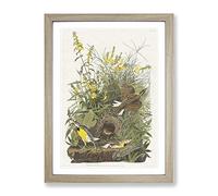 Meadow Larks By John James Audubon Vintage Framed Wall Art Print, Ready to Hang Picture for Living Room Bedroom Home Office Décor, Oak A4 (34 x 25 cm)