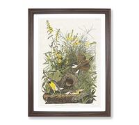 Meadow Larks By John James Audubon Vintage Framed Wall Art Print, Ready to Hang Picture for Living Room Bedroom Home Office Décor, Walnut A4 (34 x 25 cm)