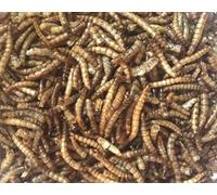 MEALWORMS 1KG DRIED