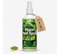 Mealybug Spray for Indoor Plants Natural Systemic Insecticide Control for Aphids Killer Bug Spray for Plants Outdoor and Indoor Spider Mites Greenfly and Blackfly 250ml