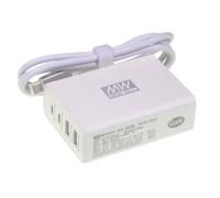 MEAN WELL Power Supply Adapter NGE100U 100W