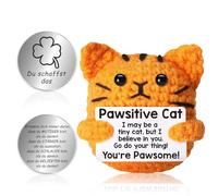 Meanju Positive Gifts Cat Cuddly Toy, Funny Gifts for Women, Pocket Hug Cat Plush Toy, Creative Crochet Cat Doll with Lucky Charm, Get Well Soon Courage Gift