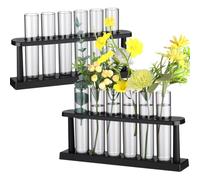 Meanplan 12 Pcs Gray Transparent Plastic Test Tube Vases with 2 Holder Rack 26 x 120 mm Plant Propagation Station Tubes for Office Home Decoration Flowering Party Hydroponic Plant Propagation