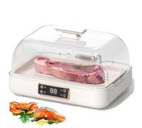 Meat Defrosting Tray, Electric Food Defroster with 3-Gear Adjustment & 360° Circulating Air for Quick Defrosting of Steak, Chicken, Seafood