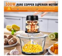 Meat Grinder 300W Electric Multi Blender Mixer with 2L Glass Container,2 Speed Settings,4 Stainless Steel Blades Easy to Clean