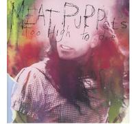 Meat Puppets - Too High to die (Lp) [VINYL]