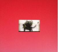 MEAT WAVE - THE INCESSANT CD NEW