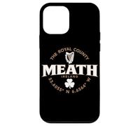 Meath Ireland Label Coordinates 2C Case for iPhone 12 mini