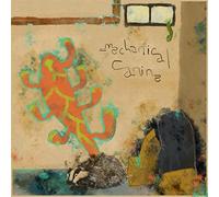 Mechanical Canine - Walls Covered in Mildew