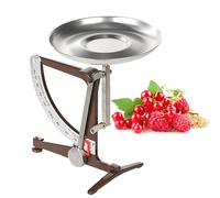 Mechanical Kitchen Scale, 1kg Battery-free Metal Balance Scale With Stainless Steel Pendulum & 19cm Aluminum Tray, Error Range ±8g, For Electronics, Scientific Research, Food brown
