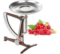 Mechanical Kitchen Scale, 1kg Capacity Metal Balance Scale with Stainless Steel Pendulum and Aluminum Tray for Scientific Research, Cooking