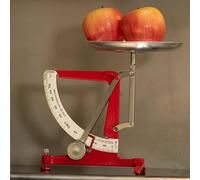 Mechanical Kitchen Scale, 1Kg Capacity, No Battery Required, Suitable for Electronics, Scientific Research, and Food Use