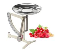 Mechanical Kitchen Scale with Stainless Steel Pendulum, Aluminum Tray for Precise Weighing in Scientific Research, Labs