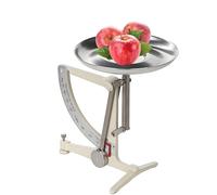 Mechanical Kitchen Scale with Stainless Steel Pendulum and Aluminum Tray for Precise Weighing in Scientific Research