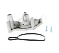 Mechanical Water Pump Fits AUDI A4 Avant A5 A6 Allroad A8 Q7 VW Touareg 2002-