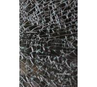 Mechanism: Part 2 (The Mechanism of A Pandemic Crossing)