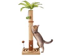 MECOOL 35in Tall Cat Scratching Post Sturdy and Premium Scratch Posts with Hanging Ball and Ball Track Cute Cat Tree for Indoor Cats