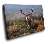 Med A587DD Framed Canvas Print - Modern Wall Art - HD Quality Picture - 100% Guaranteed - Stag Deer Scouting In Savanna - Living & Bedroom Home Décor with Easy Hang Guide - 75cm x 50cm - WOYW