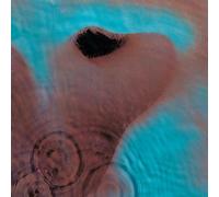 Meddle