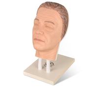 MedEduQuest Silicone Injection Mannequin Face Training Model, Makeup Head Model with Common Facial Issues for Micro-Plastic Teaching and Injection Training to Aestheticians, Plastic Surgeons-White Man