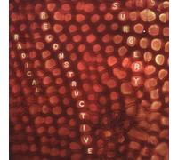 Medeski, John - Scotty Hard's Radical Reconstructive Surgery