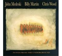 Medeski Martin and Wo - Notes From the Underground