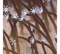 Medeski/Martin/Wood - Farmer's Reserve [Digipak] [Us Import]