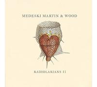 Medeski Martin & Wood - Radiolarians 2 (Dig)