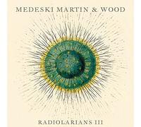 Medeski Martin & Wood - Radiolarians 3 (Dig)