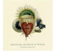 Medeski, Martin & Wood - Radiolarians Best of