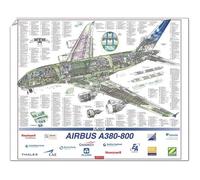 Media Storehouse 10x8 Print of Airbus A380-800 Cutaway Poster (1570891)