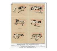 Media Storehouse 10x8 Print of Sleeping Partners and Dissolved Partnership, Cecil Aldin (14415211)