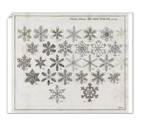 Media Storehouse 18th Century Snowflake Research Print - Print 10"x8" (25x20cm) (6355793)