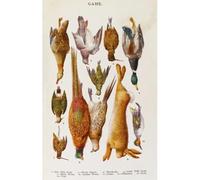 Media Storehouse A Selection of Game Various Birds Print - Print 10"x8" (25x20cm) (598385)