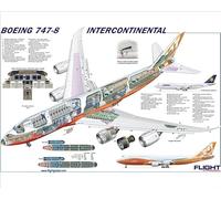 Media Storehouse Boeing 747-8 Cutaway Poster Print (Cutaway Posters) - Print 10"x8" (25x20cm) (5146330)