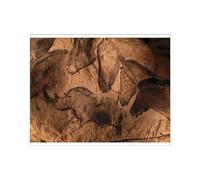 Media Storehouse Chauvet Cave Paintings Print, 32,900-30,000 Years Old - Print 10"x8" (25x20cm) (6326629)