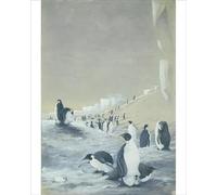 Media Storehouse Emperor Penguins at Cape Crozier, Watercolour Print - Print 10"x8" (25x20cm) (31818796)