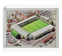 Media Storehouse Franklin's Gardens Stadia Art Print - Northampton Saints - Print 10"x8" (25x20cm) (9096291)