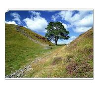 Media Storehouse Hadrian's Wall Print: Sycamore Gap, Northumberland - Print 10"x8" (25x20cm) (1949643)