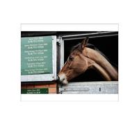 Media Storehouse Kauto Star Studies His Race Wins - Gold Cup Entry Print - Print 10"x8" (25x20cm) (7900585)
