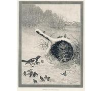 Media Storehouse Louis Wain Print: Cat Occupies Cooking Pot in Snow - Print 10"x8" (25x20cm) (4369768)