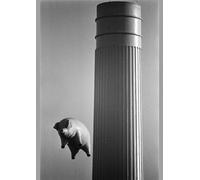Media Storehouse Pink Floyd Inflatable Flying Pig Print, Battersea Power Station 1976 - Poster Print A2 (59.4 x 42cm) (21519981)