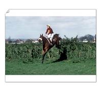 Media Storehouse Red Rum Clears the Last at Aintree 1977 Grand National Print - Print 10"x8" (25x20cm) (5521639)