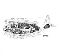 Media Storehouse Short Sunderland Print: Military Aviation Cutaway Drawing - Print 10"x8" (25x20cm) (1570931)
