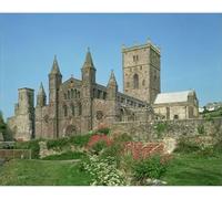 Media Storehouse St Davids Cathedral Print, Pembrokeshire, Wales - Print 10"x8" (25x20cm) (3657788)